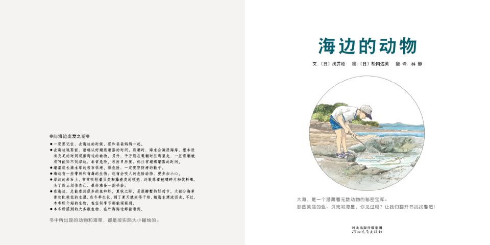 海边的动物 (03),绘本,绘本故事,绘本阅读,故事书,童书,图画书,课外阅读